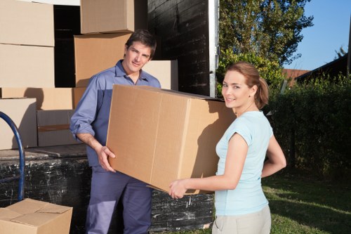 Professional man and van Bow service for everyday transport